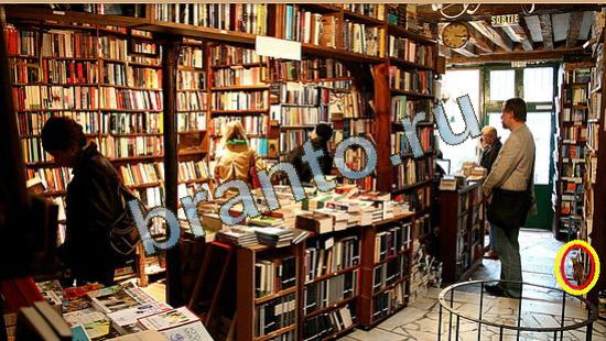 ответы на игру Где же кот Уровень 4714