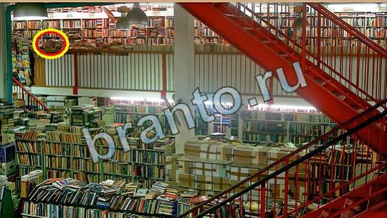 решения на игру Где же кот Уровень 4715