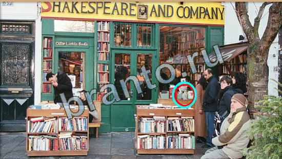 Где же кот ответы в одноклассниках Уровень 4719