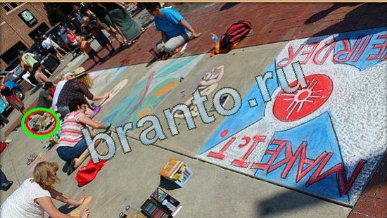 Подсказки на игру Где же кот Уровень 4722