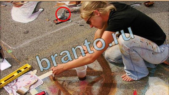 Где же кот? помощь Уровень 4730