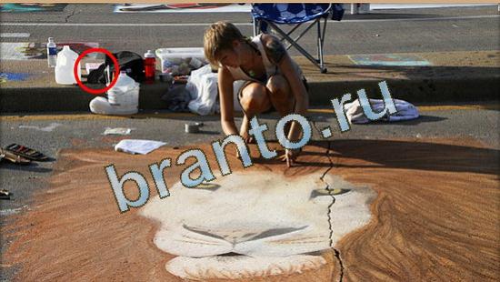 решебник на игру Где же кот Уровень 4731