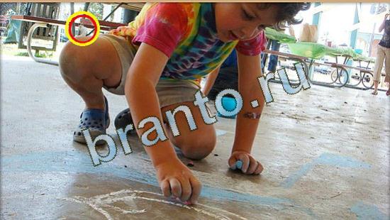 Где же кот? решения Уровень 4732