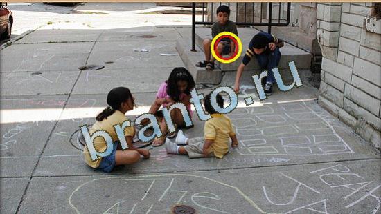 Где же кот игра подсказки Уровень 4734