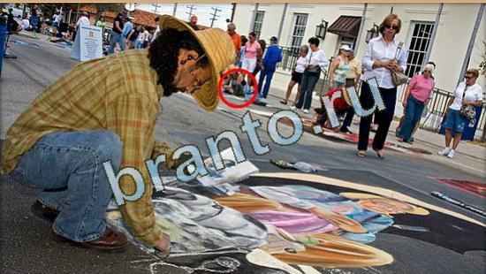 Где же кот игра помощь Уровень 4735