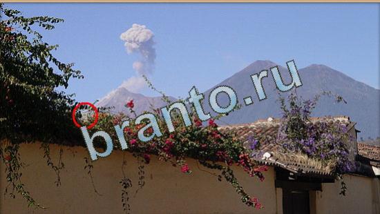 прохождение на игру Где же кот Уровень 4741