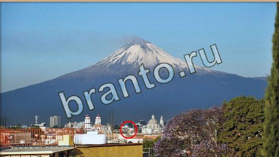 ответы Где же кот Уровень 4745