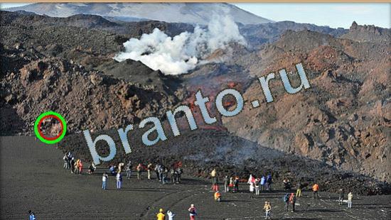 ответы Где же кот? в одноклассниках Уровень 4746