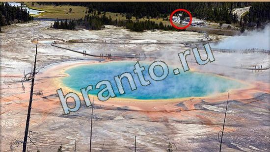 ответы для игры Где же кот Уровень 4747