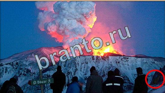 решения для игры Где же кот Уровень 4748