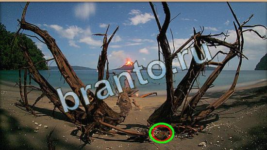 игра в одноклассниках Где же кот ответы Уровень 4750