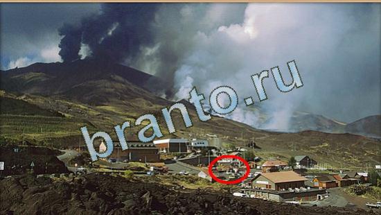 Где же кот ответы на новые задания Уровень 4753