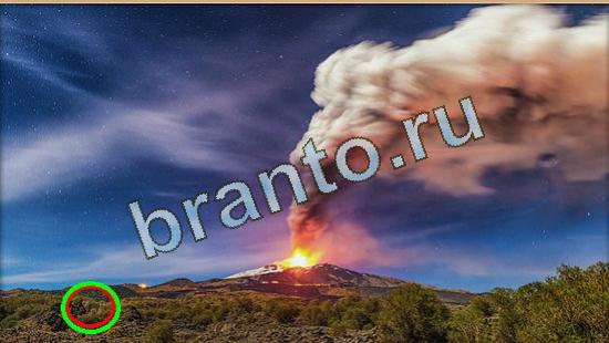 ответы на игру Где же кот Уровень 4754