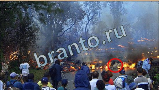 решения на игру Где же кот Уровень 4755