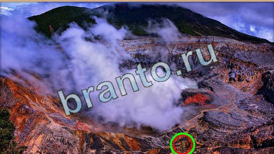 ответы на игру Где же кот Уровень 4756