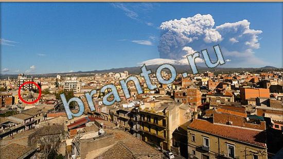 ответы в картинках на игру Где же кот Уровень 4757