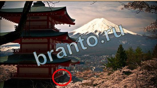 помощь на игру Где же кот Уровень 4758