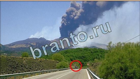 Где же кот ответы в одноклассниках Уровень 4759