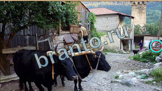 ответы на игру в одноклассниках Где же кот Уровень 4766