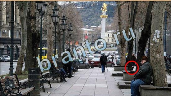 Где же кот? подсказки Уровень 4769