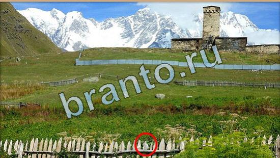 решебник на игру Где же кот Уровень 4771