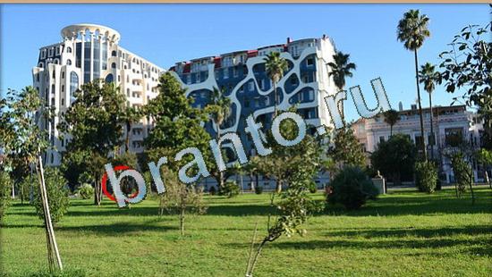 Где же кот игра ответы Уровень 4773