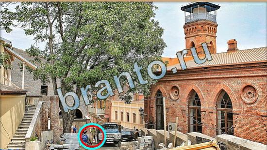 Игра Где же кот ответы Уровень 4777