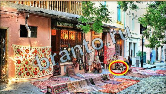 игра Где же кот помощь Уровень 4779