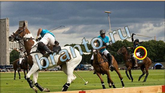 прохождение на игру Где же кот Уровень 4781