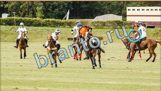 Где же кот прохождение игры Уровень 4782