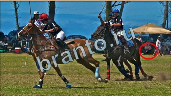 Прохождение игры Где же кот Уровень 4784