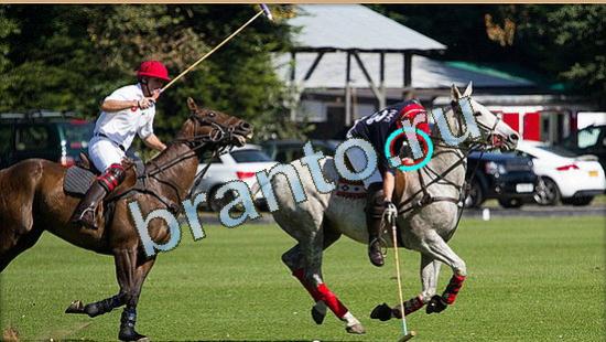 ответы Где же кот Уровень 4785