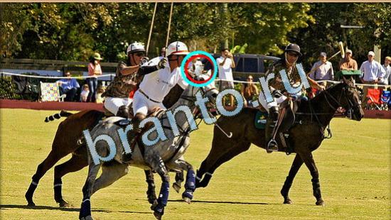 ответы для игры Где же кот Уровень 4787