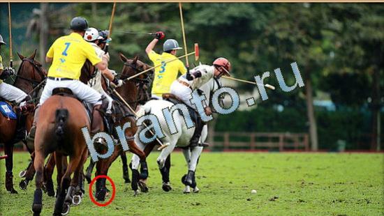 решения для игры Где же кот Уровень 4788