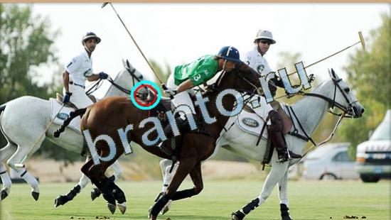 Где же кот игра ответы Уровень 4789