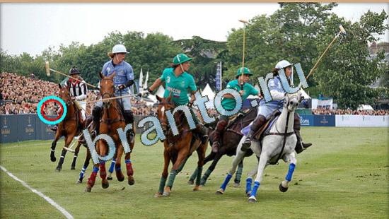 игра в одноклассниках Где же кот ответы Уровень 4790