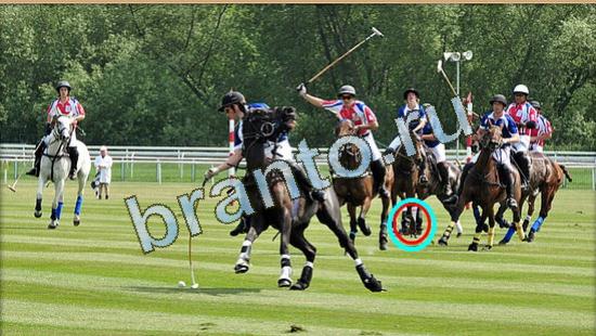 Где же кот помощь в картинках Уровень 4791