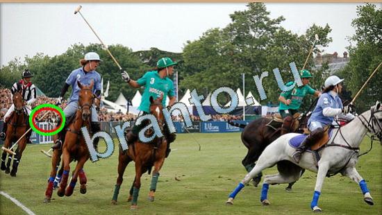 ответы на игру Где же кот в скриншотах Уровень 4792