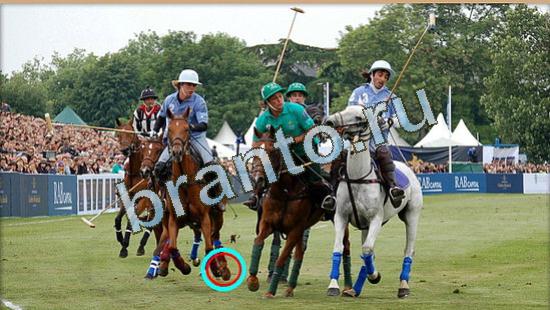 Где же кот ответы на новые задания Уровень 4793