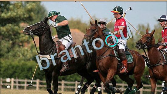 ответы на игру Где же кот Уровень 4794