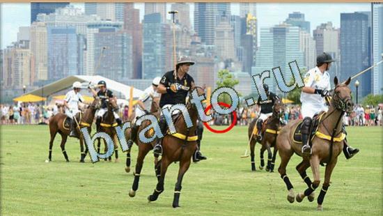 решения на игру Где же кот Уровень 4795