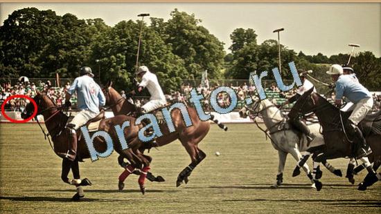 ответы на игру Где же кот Уровень 4796