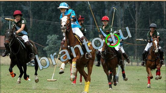 ответы в картинках на игру Где же кот Уровень 4797