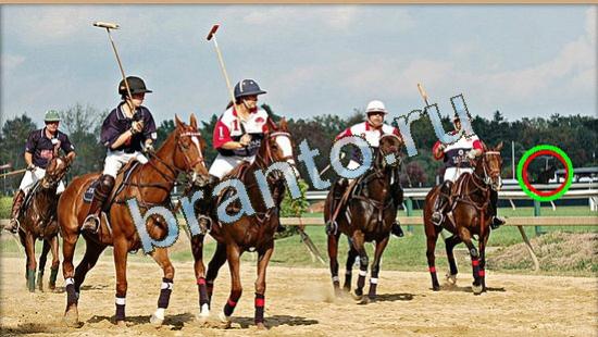 помощь на игру Где же кот Уровень 4798