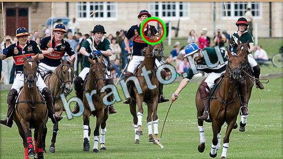 Где же кот ответы в одноклассниках Уровень 4799