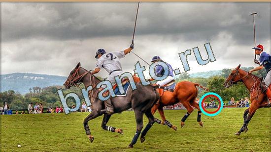 Где же кот игра ответы Уровень 4800