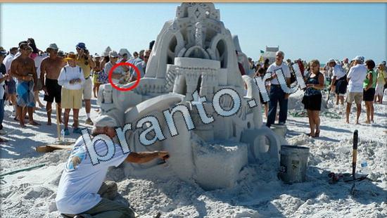 ответы на игру Где же кот Уровень 4801