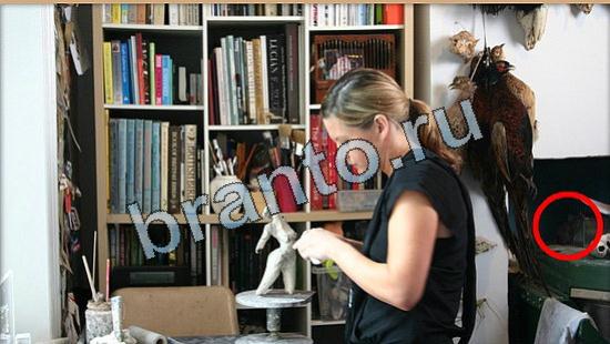 Где же кот? ответы Уровень 4808