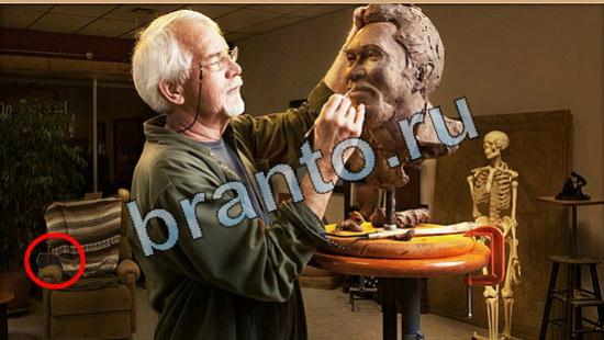 Где же кот? решения Уровень 4812