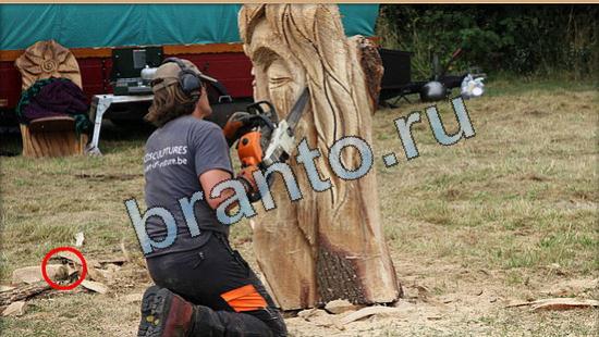 Где же кот ответы в картинках Уровень 4816